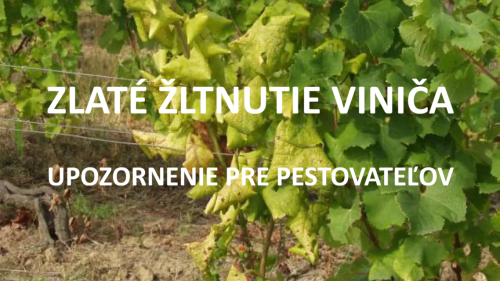 Upozornenie pre pestovateľov - ilustračné foto